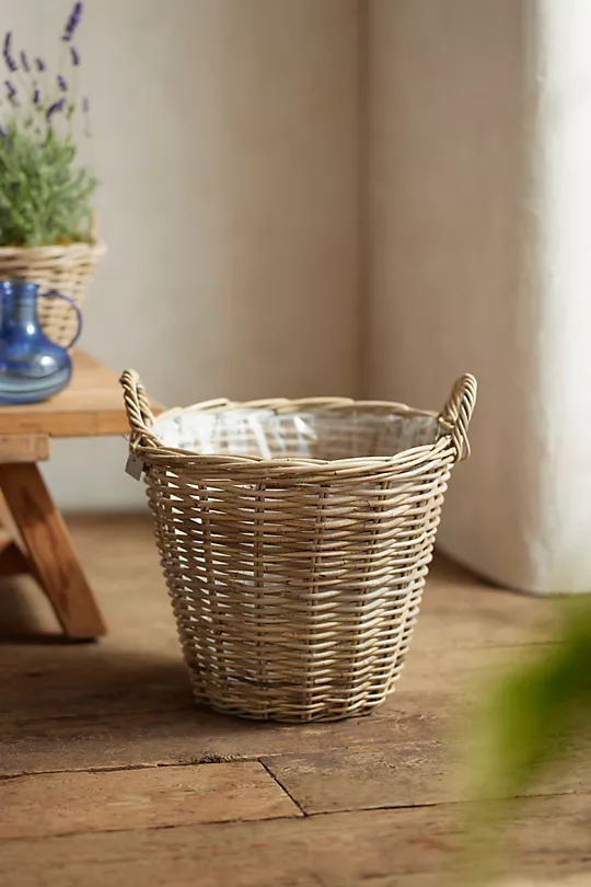 decorative plant pot