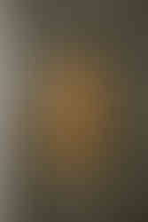 brass scalloped light switch against green botanical wallpaper