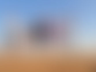 ספארי בדובאי – איך לבחור נכון ומה ההבדלים בין הסוגים