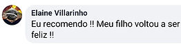 Elaine Villarinho.jpg