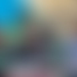 Urban Strategies Group photo