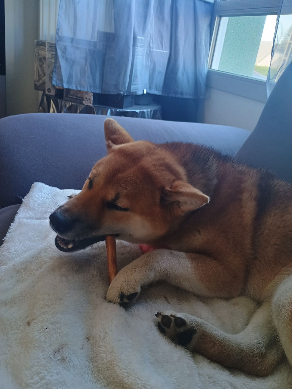 488660330_10238279489752964_8812087259676646435_n