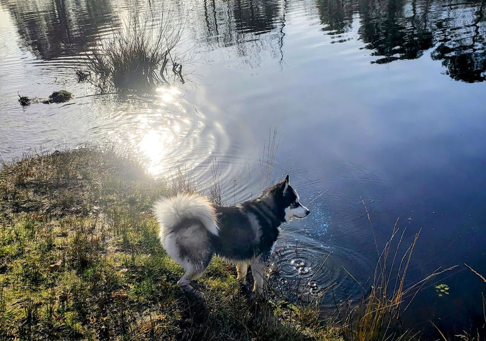 492678981_10088209404545408_993691865941882237_n