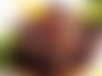 仏産フォワグラ・フェア開催