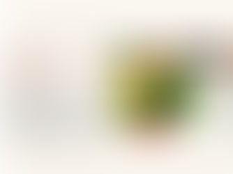 真夏のフレンチフルコース