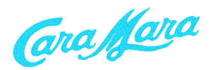 Cara Mara Motel Resort in Wildwood Crest, United States