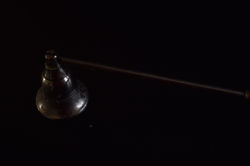DSC_0802