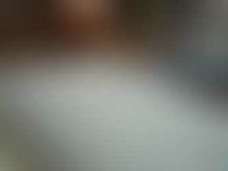 The Mazur Case: Divisions and Debate in the Legal Profession