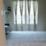 All Natural Carpet Cleaning