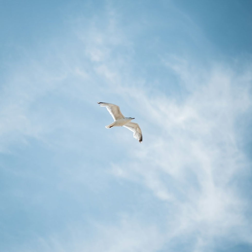 When Surrender Feels Like Quitting