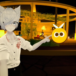 STATUS REPOwORT - 20260309 - 20260315