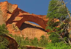 Kolob Arch Button (NPS).webp