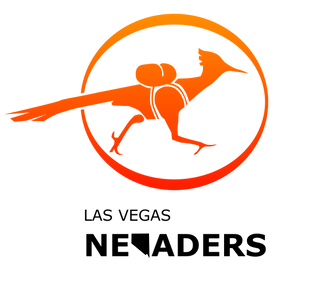 Nevaders Logo 2.1 (Bird&Brand) _ Orange_Type1.png