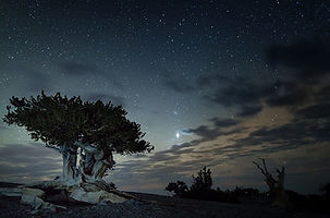 Great Basin National Park at night.