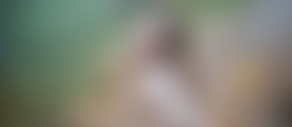 Support Your Health and Vitality with Our Premium Wellness Products