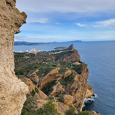 via cordata philemon cassis