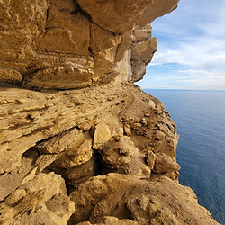 via cordata philemon cassis