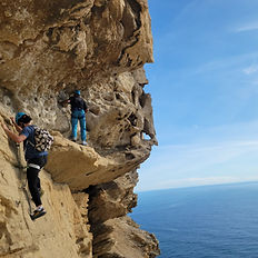 via cordata philemon cassis