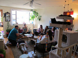 HEALING HANZ PHOTO 14