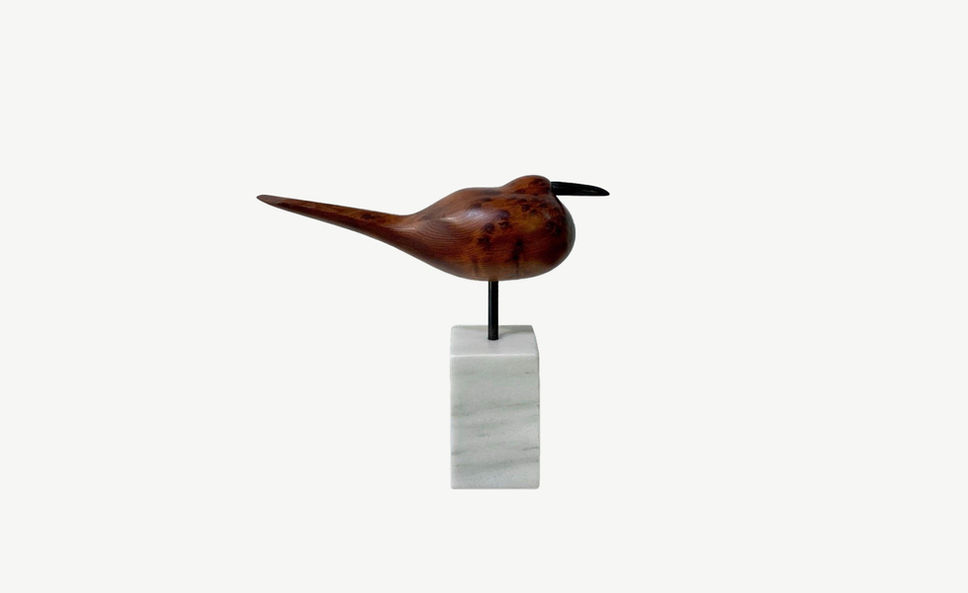 click-tempalte-Restingbird