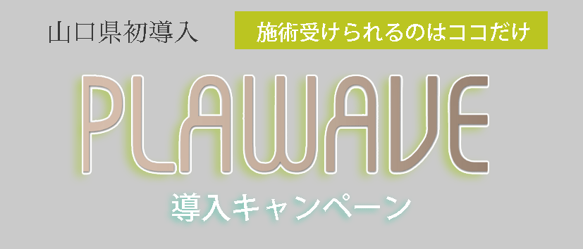 プラウェーブ1.gif