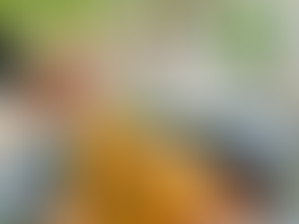 “Un pranzo tra i limoni: alla Pineta di Maiori la tradizione ha profumo di sole”