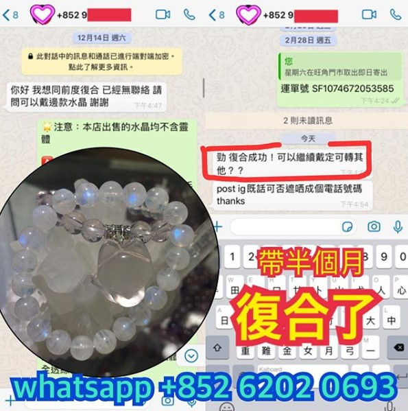 縮圖：純種星光手狐® (好評區10)