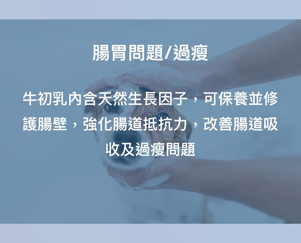 縮圖：100 優質牛初乳 (犬貓用)