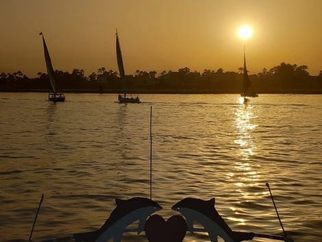 sunset with D bright.png