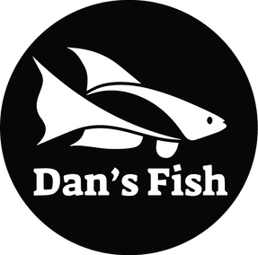 dans-fish.png