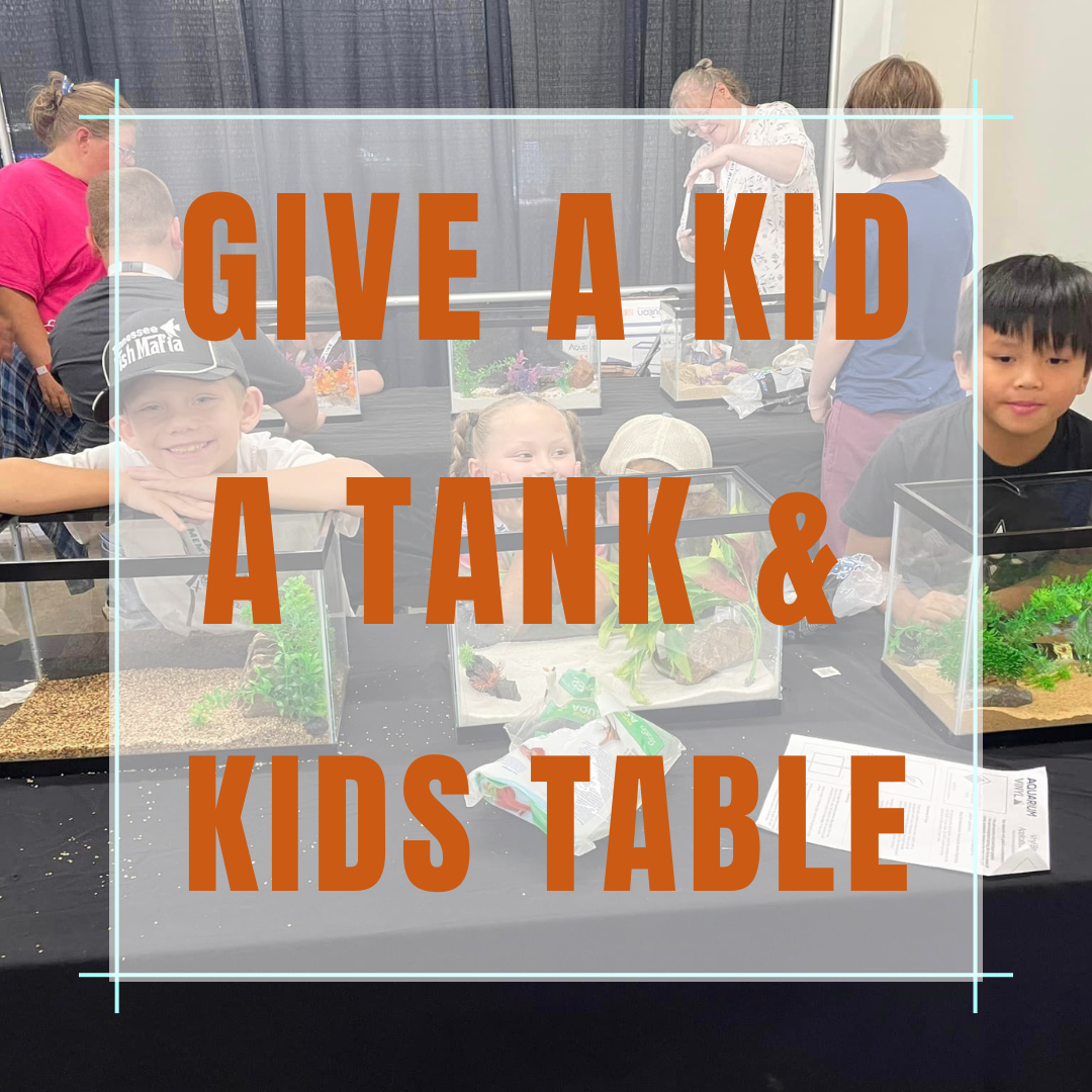 Give A Kid a Tank / Kid's Area Sponsorship