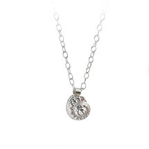 Small spiralling shell on light 18" trace chain