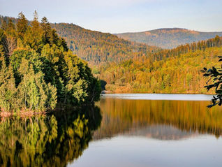 Toward a common liturgical celebration of the Feast of CreationToward a common liturgical celebration of the Feast of Creation | The Lutheran World Federation MR