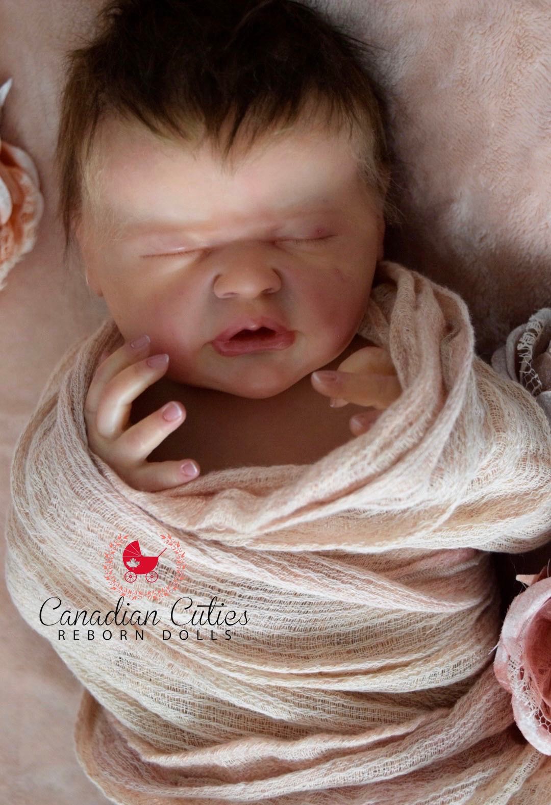 canadian cuties reborn dolls