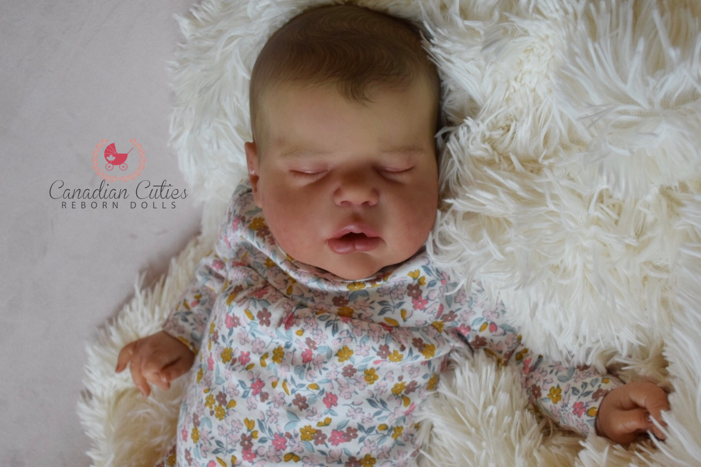 canadian cuties reborn dolls