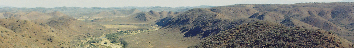 copy 3.JPG