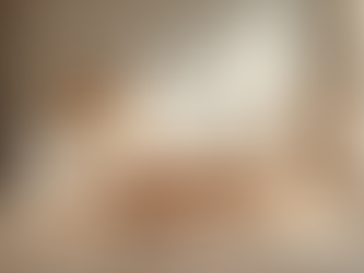 Understanding the Architectural Design Process