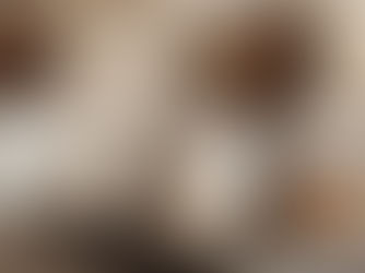 Home Décor Trends for 2026: Embracing Timeless Design