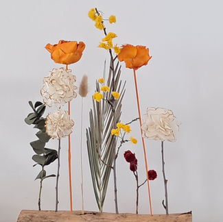 Jardí — A Garden That Never Needs Water