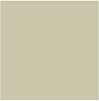 Plain Ochre .png