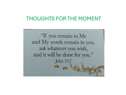 Thoughts for the Moment