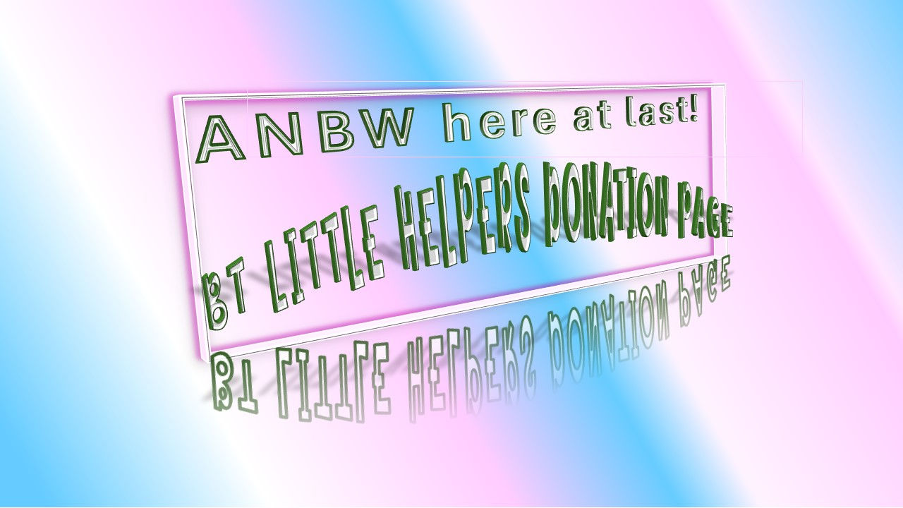 2026 Slideshow 1 BT Little Helpers Donation Page.jpg