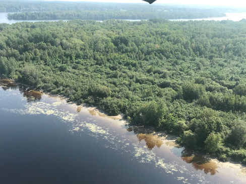 Projet Écoparc de la Rivière-à-l'Ours - Le Quotidien (2022)