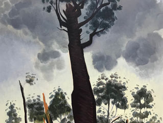 The Spiral Tree (takayna)