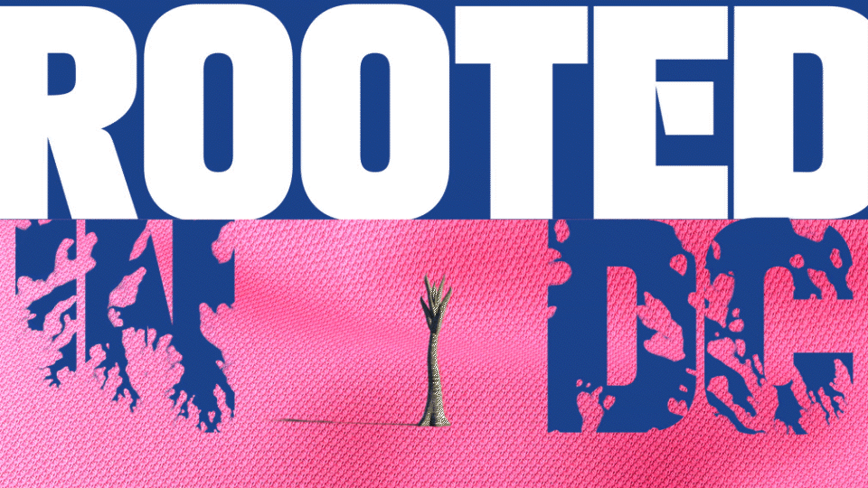 ROOTED_1.gif