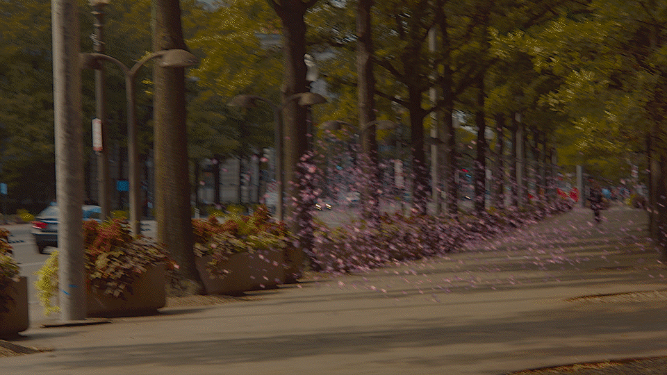 CITY_SHOTS.gif
