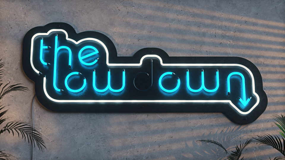 LOWDOWN_4.gif