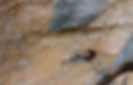 DJI_0253_edited.jpg