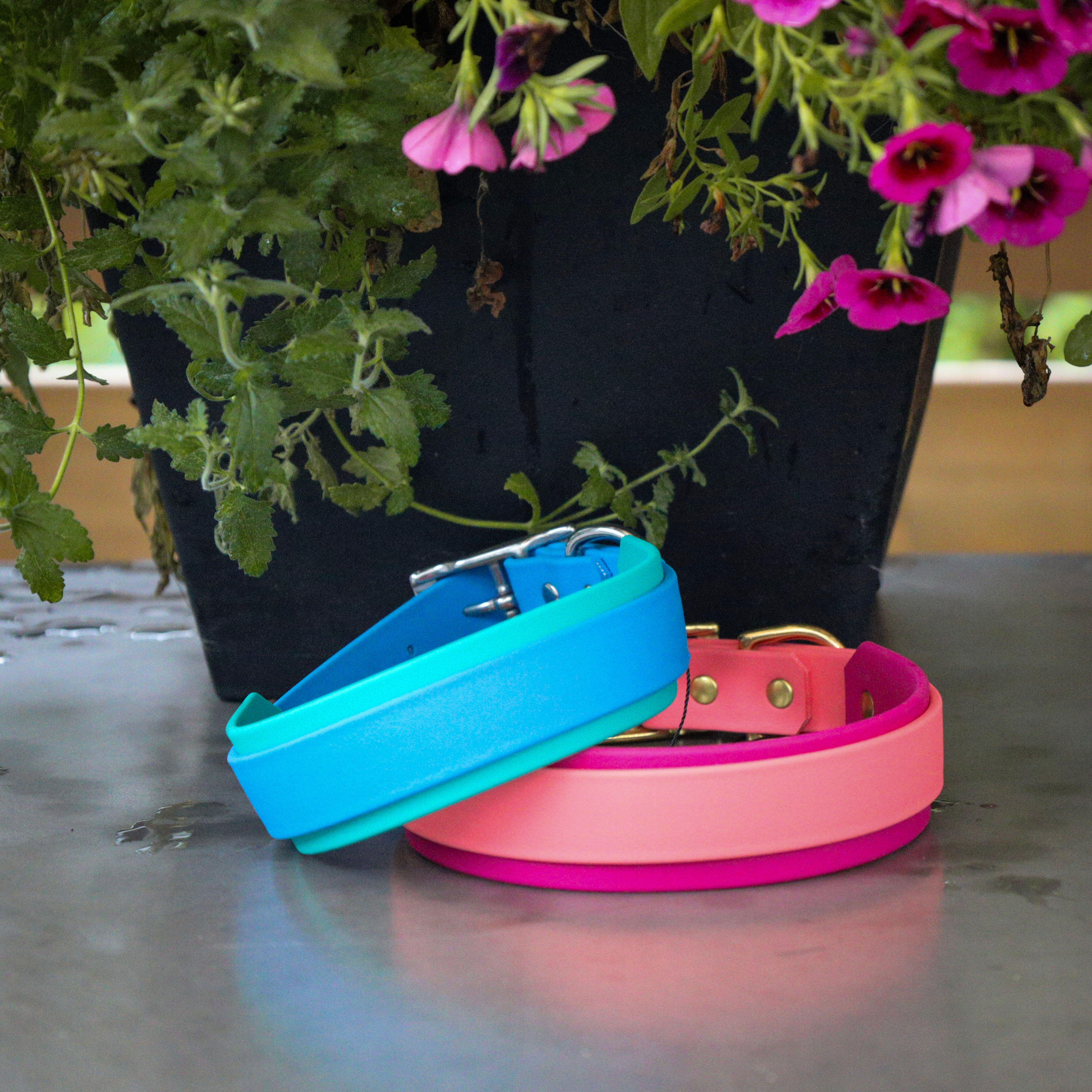 Collier 1'' doublé 1 ½'' │plusieurs variantes