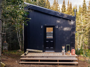 DACO - Hébergements insolites en pleine nature, 100% dog friendly